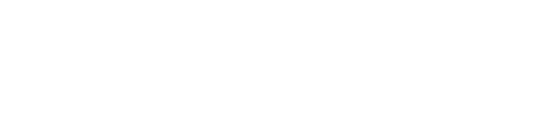 academy-logo-white-neu.png